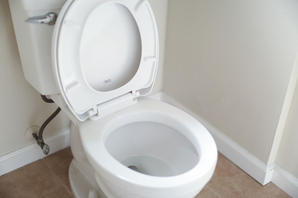 Toilet with seat up